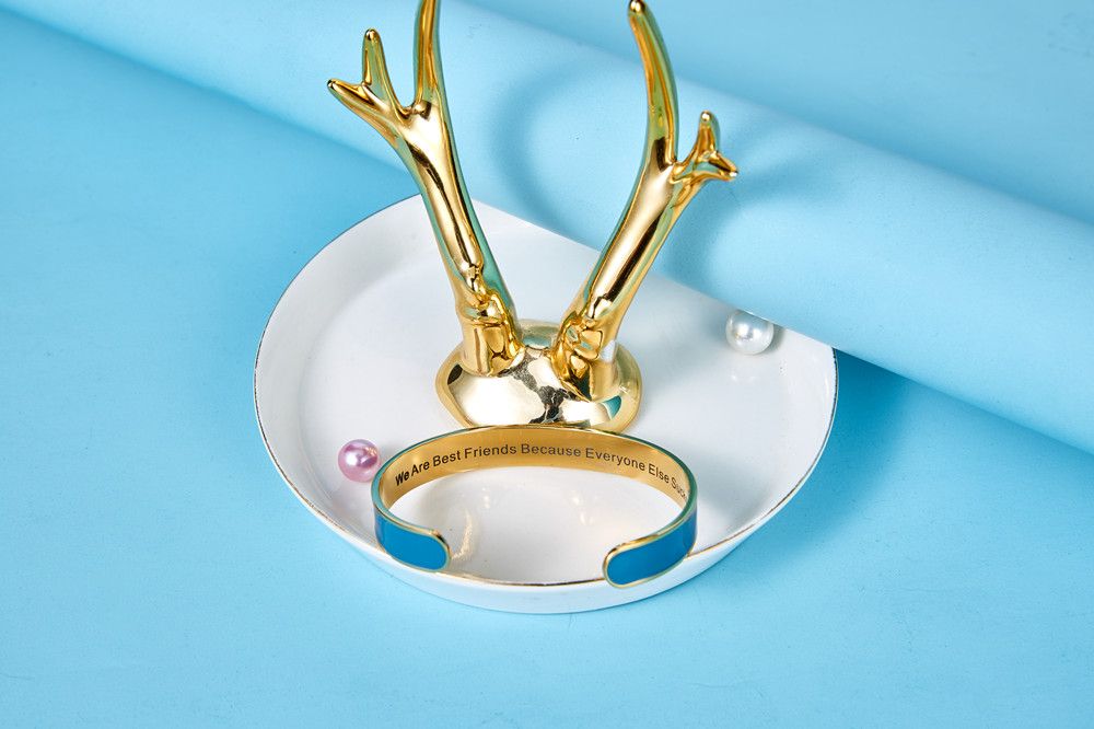 FOR MY BEST FRIENDS "BECAUSE EVERYONE ELSE SUCKS COLOR GLAZE BANGLE" BRACELET - SARAH'S WHISPER